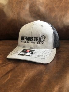 YOUTH - HEATHER GREY AND BLACK - STRUCTURED - BEEFMASTER RICHARDSON CAP
